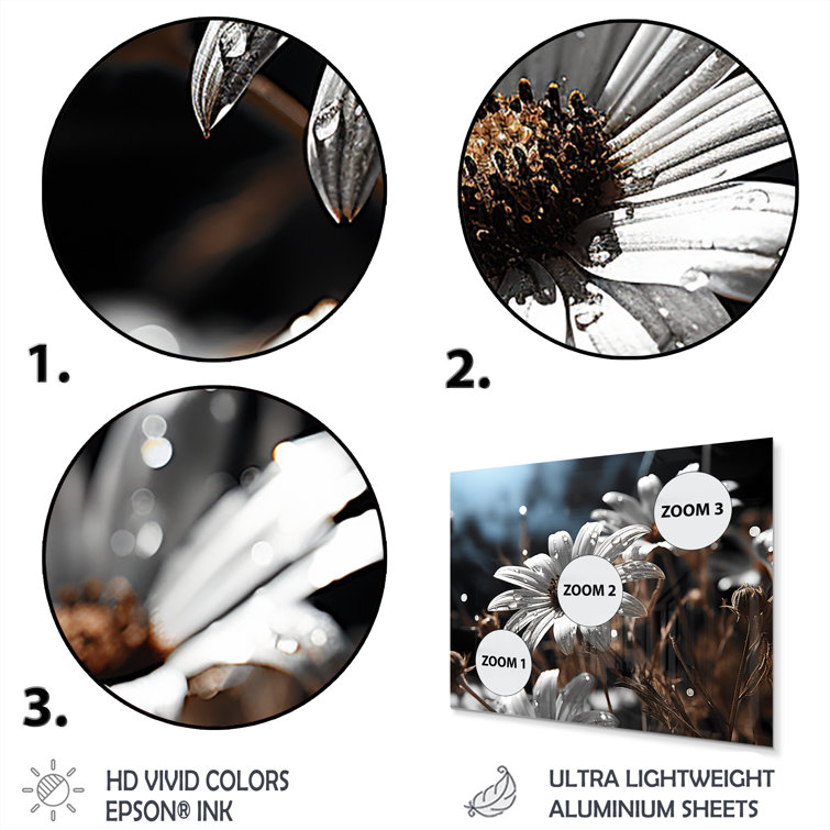 Gracie Oaks Daisies Field Sunrise III Floral Metal Wall Decor Set